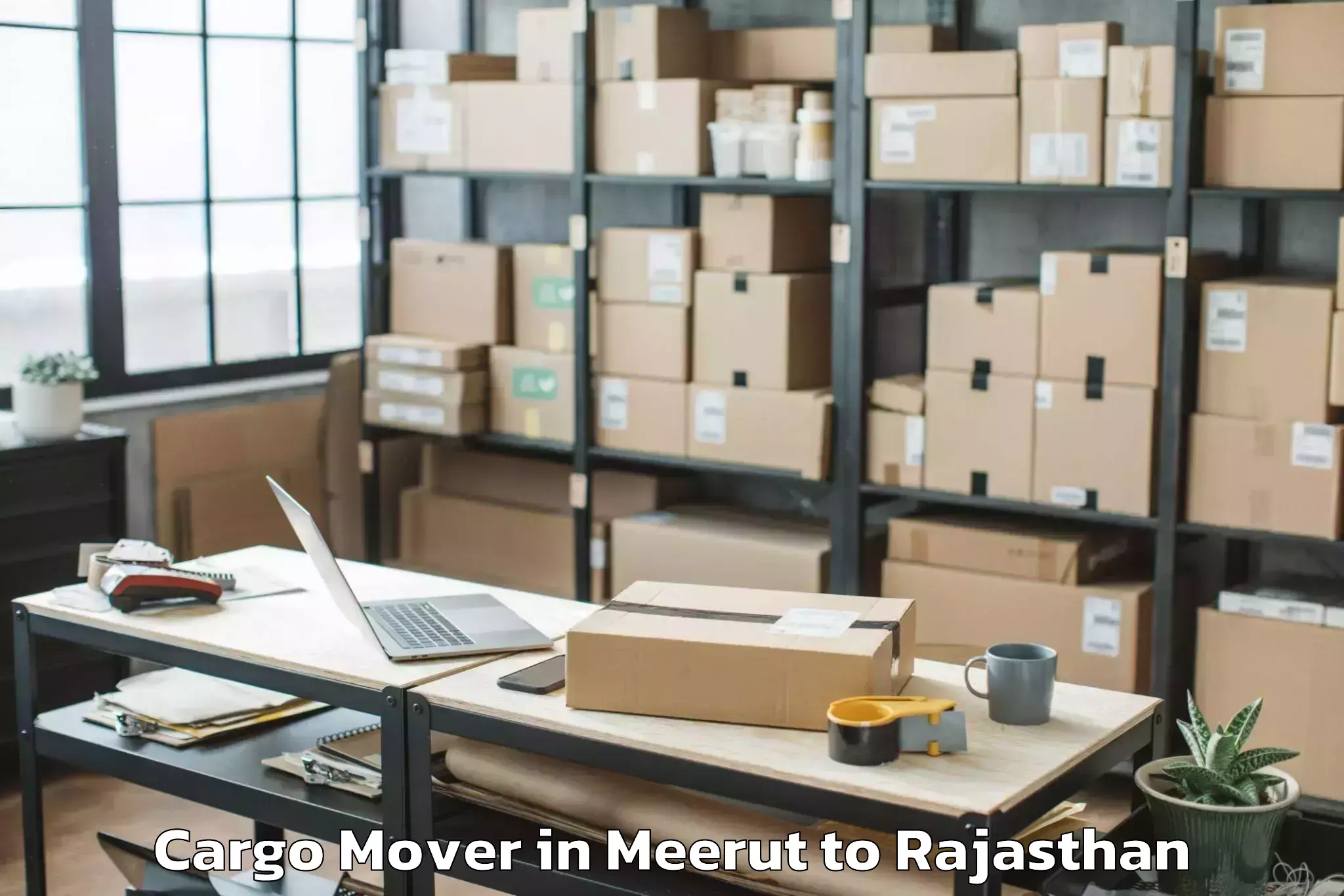 Comprehensive Meerut to Ratangarh Churu Cargo Mover